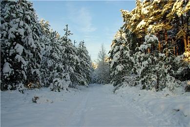 《阿凡达：潘多拉边境》8分钟演示 4070Ti显卡130帧